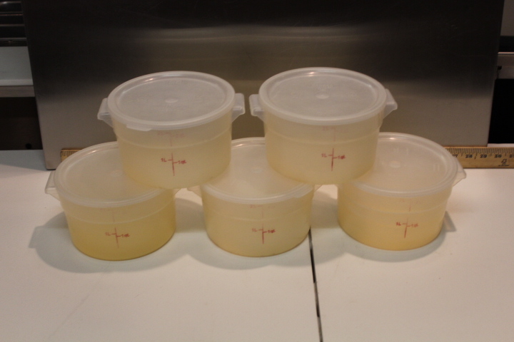 lot 73 image: 2 quart round container