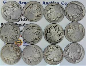 lot F1-JT163 image: 1 LOT- Buffalo Nickel LOT