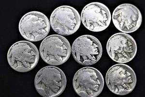 lot F1-SE106 image: Buffalo Nickels LOT