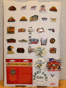 lot 107 image: NASCAR Pins Lot