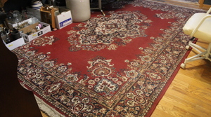 lot 102 image: Area Floor Rug  (DR)