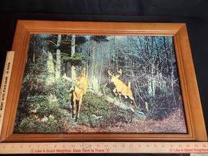 lot 7 image: Vintage Deer light up Helmscene Picture working