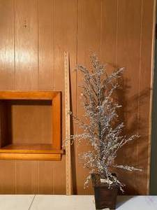 lot 139 image: Silver Tree (approximately 3 feet tall)