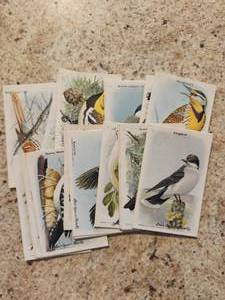lot 89 image: Useful birds of America Church and Dwight trading cards Vintage