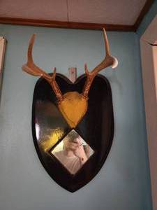 lot 137 image: Deer Antler and mirror Plaque