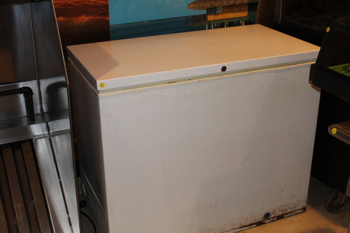 lot 16 image: Chest freezer