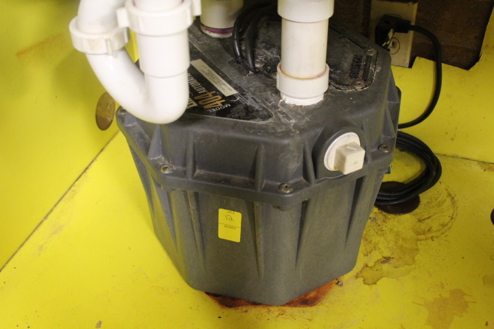 lot 12 image: Liberty Drain Pump