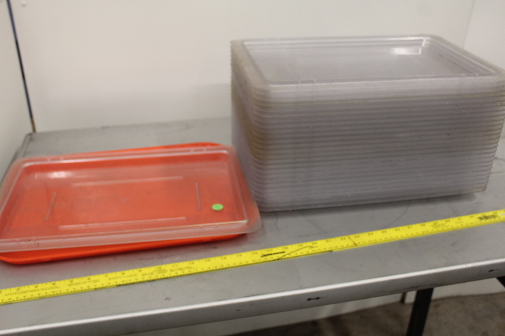 lot 110 image: Clear Lid Lot