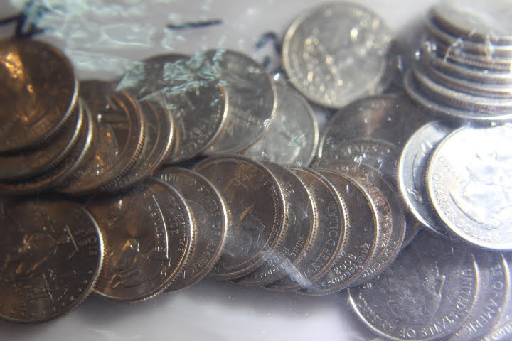 lot 138 image: 40 State Quarters Different States