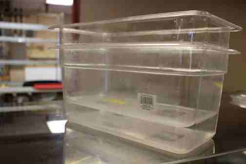 lot 337 image: 13 Size Insert Pans