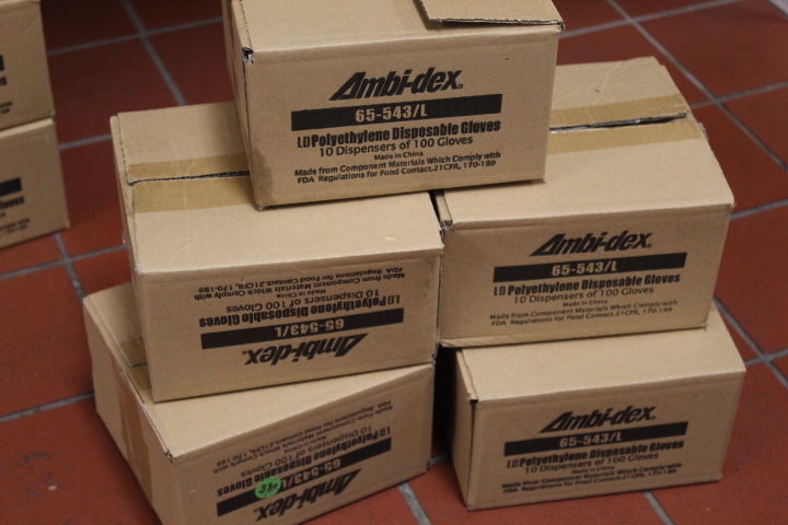 lot 380 image: Polyethylene Disposable Gloves