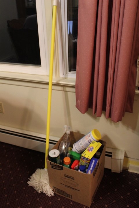 lot 242 image: Cleaning Lot
