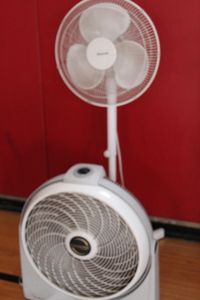 lot 39 image: Fan Lot