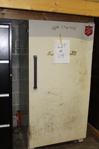 lot 119 image: Upright Freezer