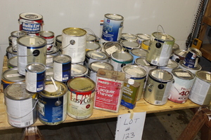 lot 123 image: Paint Lot