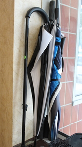 lot 83 image: Cane  Umbrella Lot