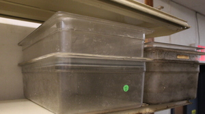 lot 343 image: Food Storage Bins and Lids