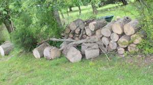 lot 125 image: Fire Wood Pile