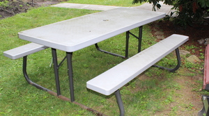 lot 401 image: Picnic Bench