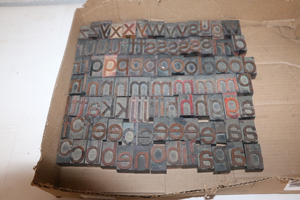 lot 103 image: 1 1116 Wood Type