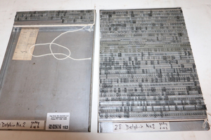 lot 163 image: 28 Pt. Dolphin 2 Trays