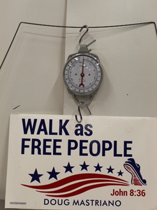lot 85 image: Camry Hanging Scale - NIB