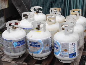 lot 219 image: Portable PROPANE Tanks   -   Doug for Gov.  -  Walk as Free People  - John 836